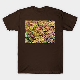Aerial view of colorful autumn forest T-Shirt